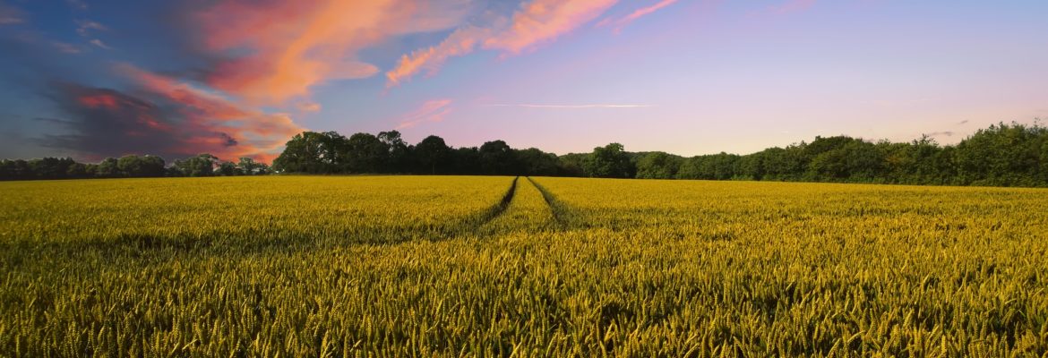 I molteplici scopi perseguibili con la scelta di destinare un’area a verde agricolo e le attività compatibili